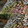 Leopard Print Halter Neck Dress - Image 7